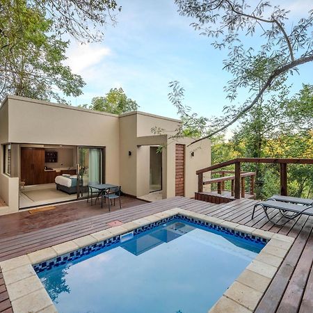 Bushbaby Valley Lodge Hazyview Eksteriør bilde